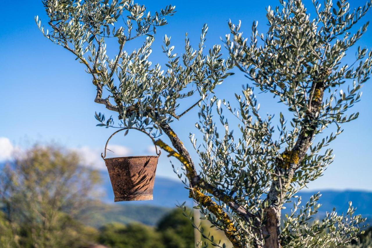 Gite "La Sainte-Croix", Traditional Provencal House For 8 People, Private Swimming-Pool, Air-Conditioner, Beautiful Scenery Vaison-la-Romaine Exterior foto