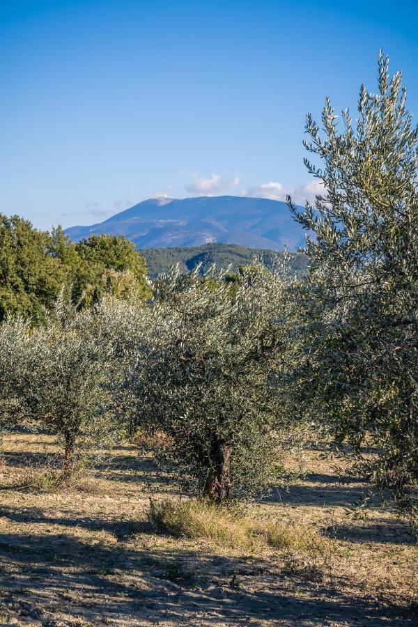Gite "La Sainte-Croix", Traditional Provencal House For 8 People, Private Swimming-Pool, Air-Conditioner, Beautiful Scenery Vaison-la-Romaine Exterior foto