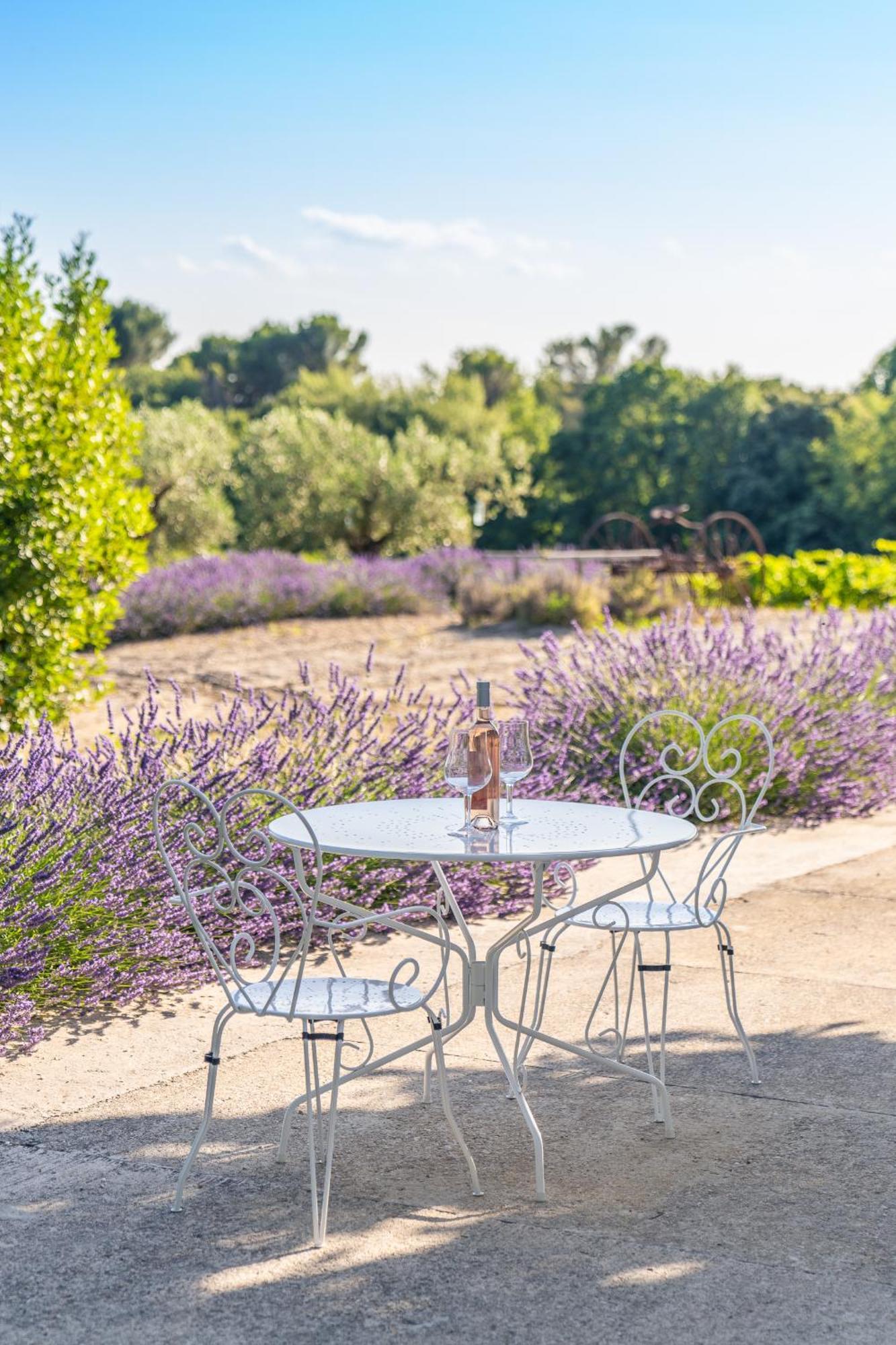 Gite "La Sainte-Croix", Traditional Provencal House For 8 People, Private Swimming-Pool, Air-Conditioner, Beautiful Scenery Vaison-la-Romaine Exterior foto