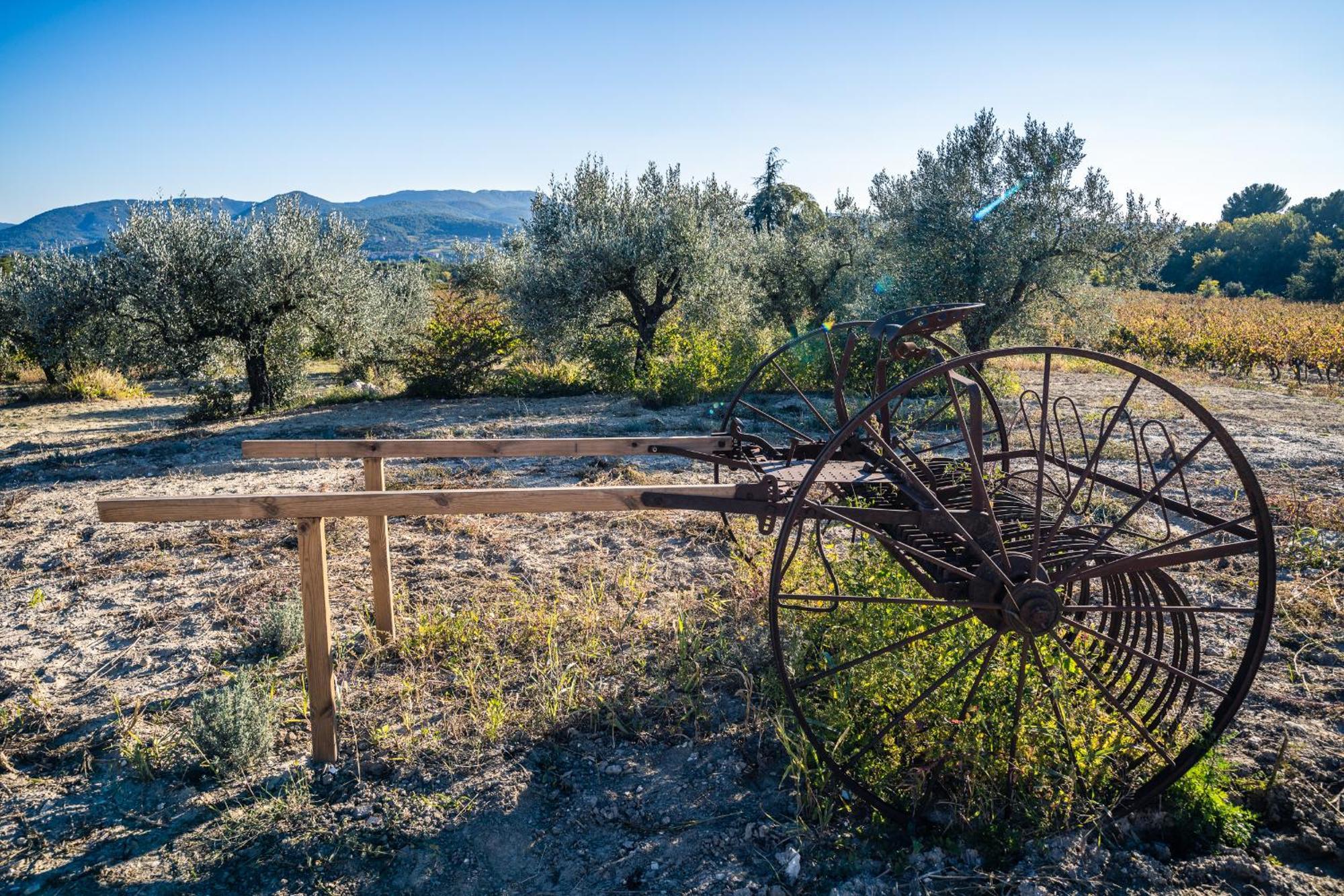 Gite "La Sainte-Croix", Traditional Provencal House For 8 People, Private Swimming-Pool, Air-Conditioner, Beautiful Scenery Vaison-la-Romaine Exterior foto